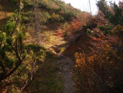 2013-10-26_Schildenstein (240).JPG